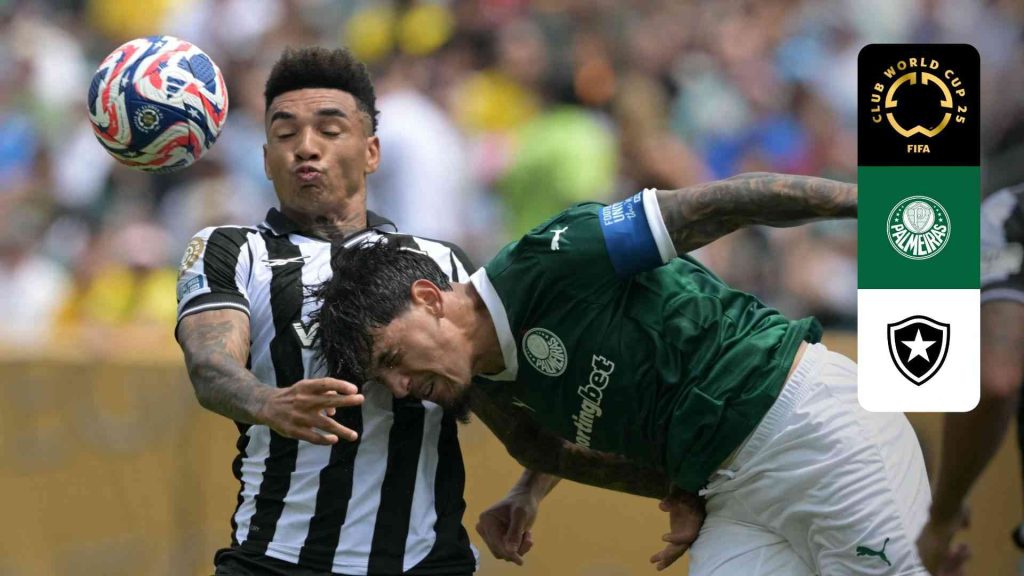 Palmeiras vs Botafogo